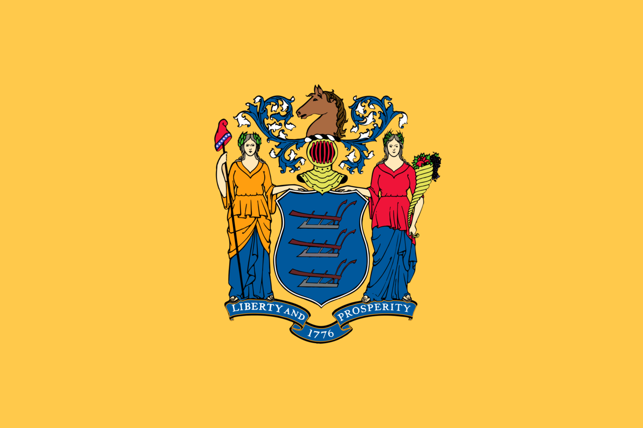 The New Jersey State Flag